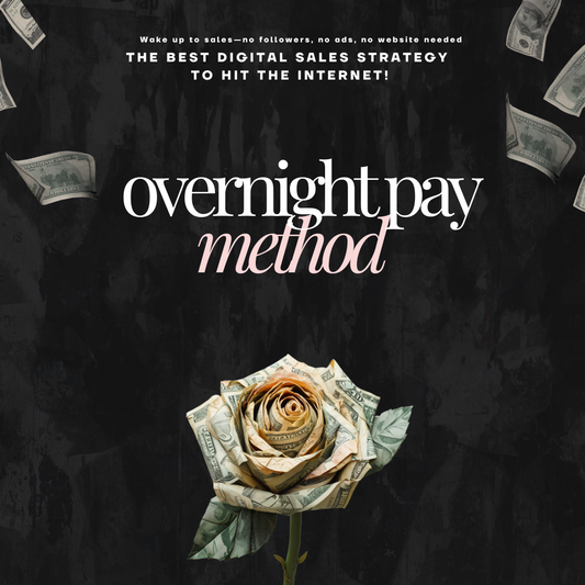 The Overnight Payment Method Course